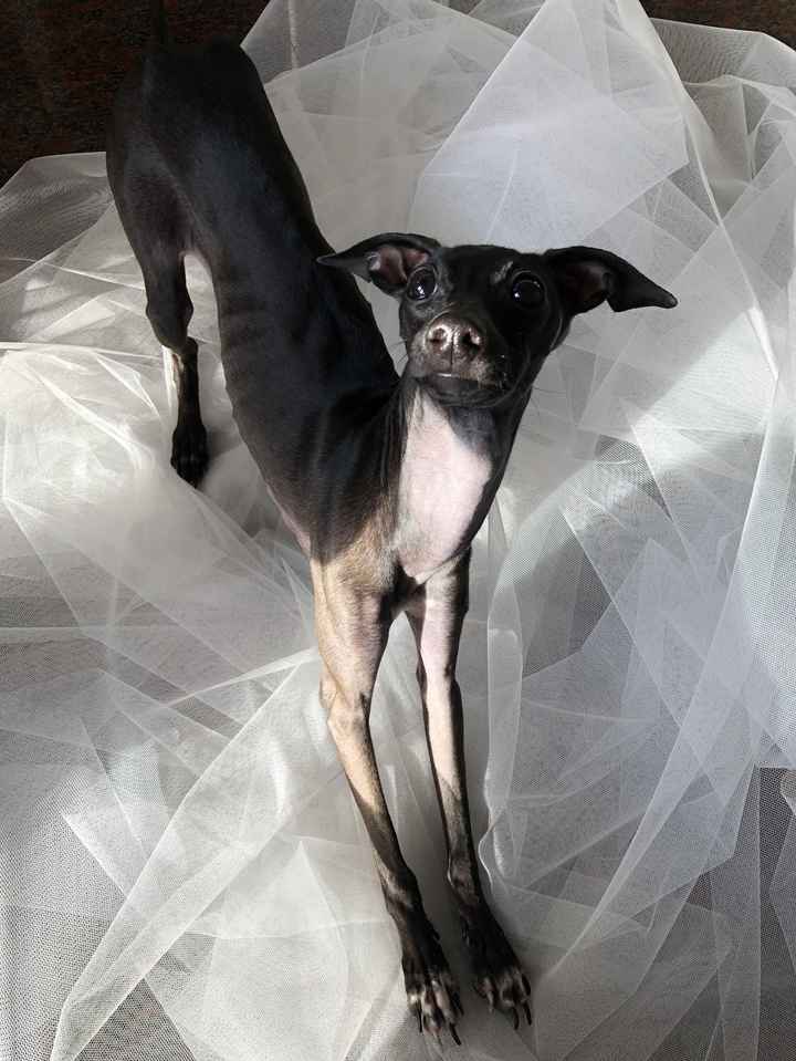 L'amore mio più grande - 1