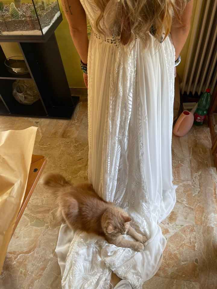 Pets - 2