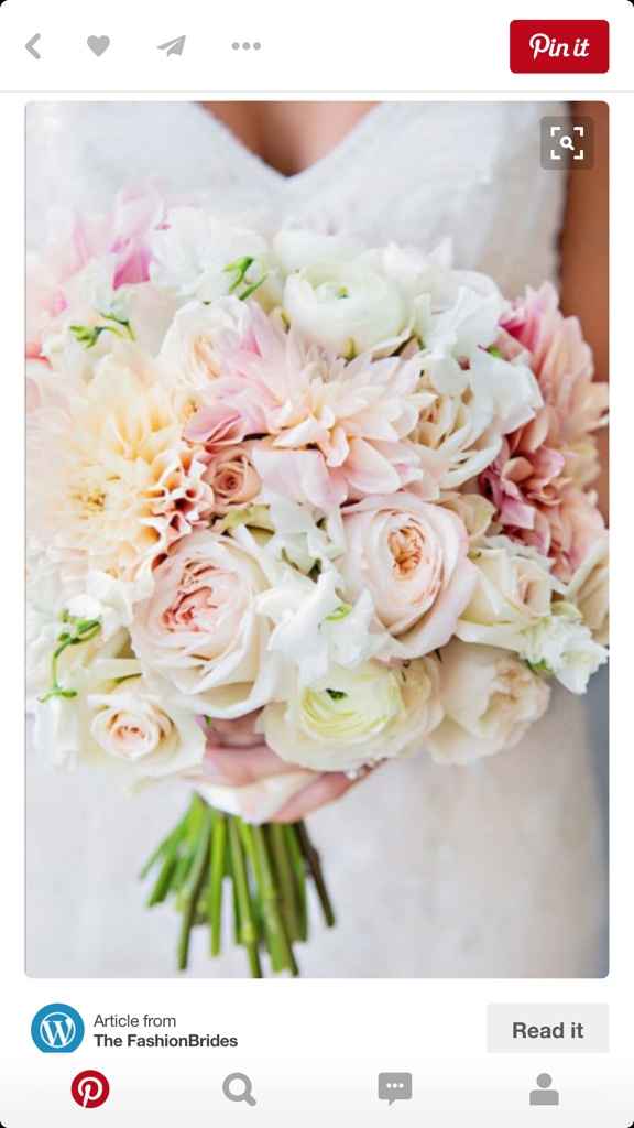 Scelta colore pesca - 1