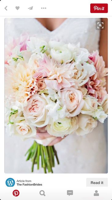 Scelta colore pesca - 1