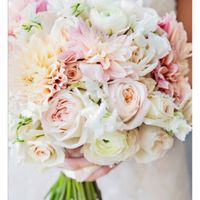 Scelta colore pesca - 1