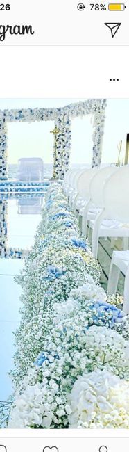 Fiori 💐🌹🌼🌻🌾🍀🌸🌼🌻💐🍀🌾🌹 - 2