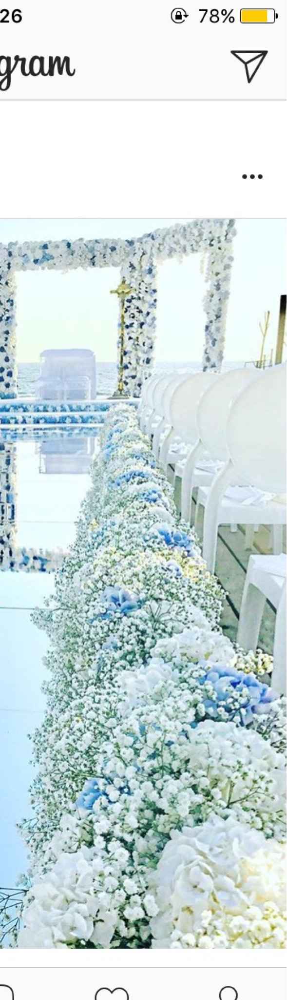 Fiori 💐🌹🌼🌻🌾🍀🌸🌼🌻💐🍀🌾🌹 - 2