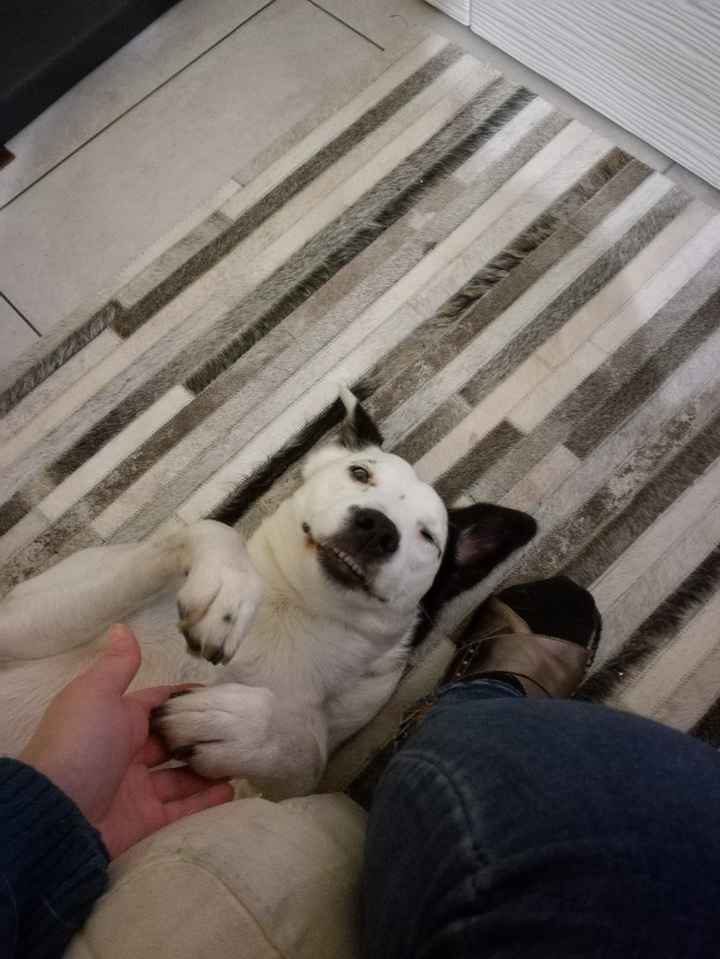 Ci sarà qualche vip alle vostre nozze? - 1