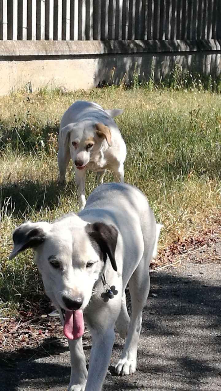 Ci sarà qualche vip alle vostre nozze? - 1