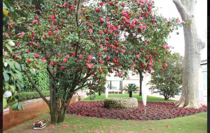 La vostra location! - 10