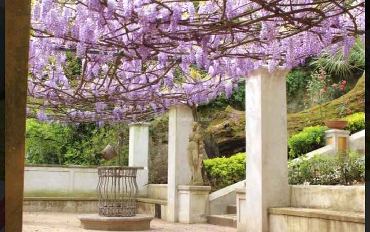 Location Campania - 8