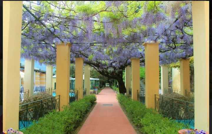 Location Campania - 9