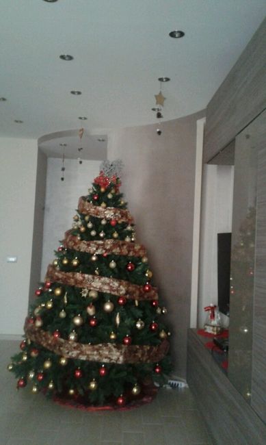 Primo natale da sposati - 5