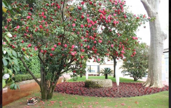 La vostra location! - 10