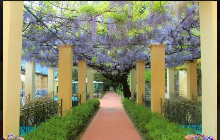 Location Campania - 9