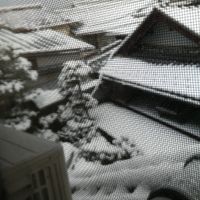 Viaggio di nozze Giappone! - 5