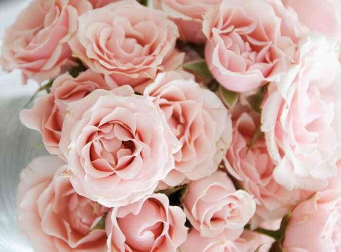 i fiori delle mie nozze🌸 - 1