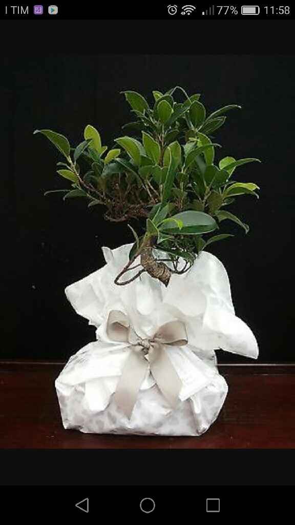 Bomboniera vi piace?? - 1