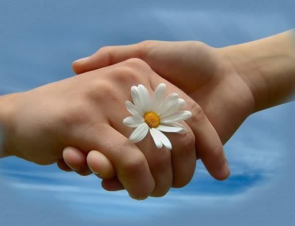 ricercare l'armonia interiore