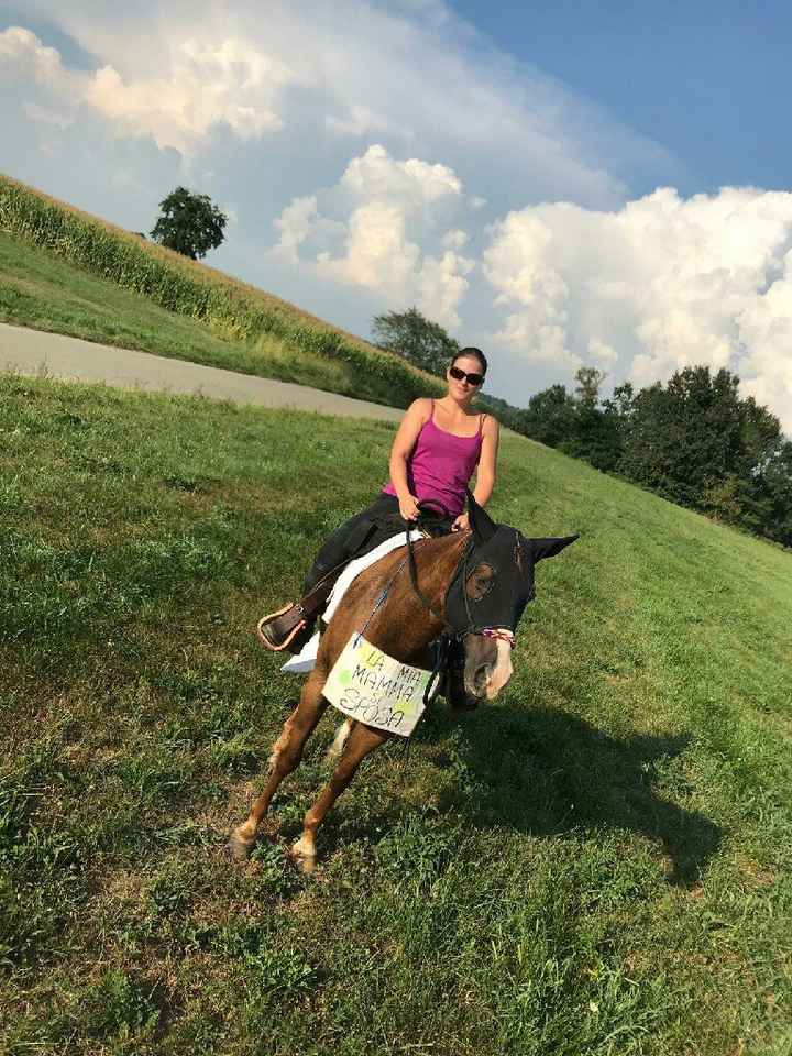 Secondo addio al nubilato - 2