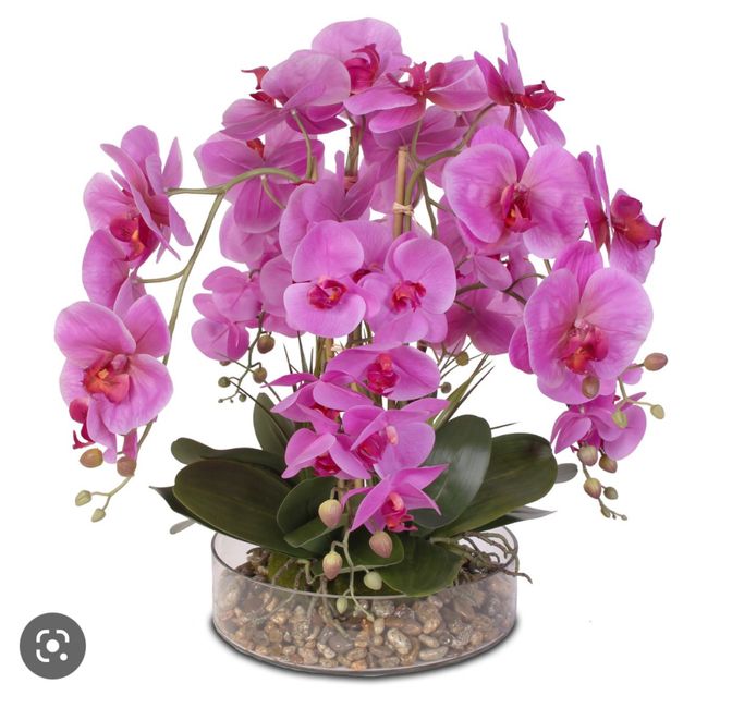 Orchidee centrotavola 1