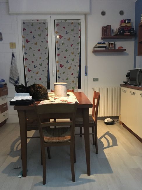 Parquet bianco o grigio? (la casa) 6