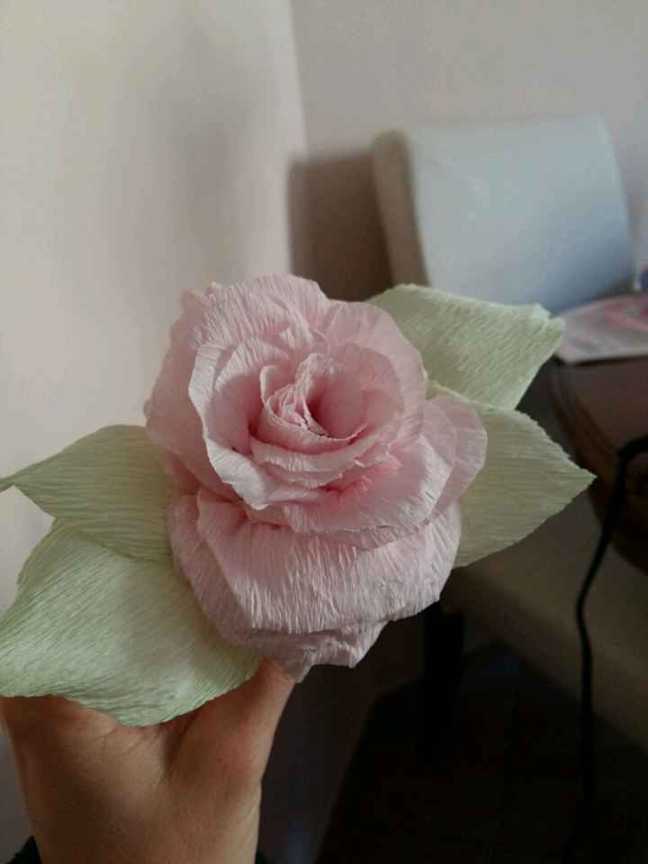 Cosa dite? sembrano rose? - 2