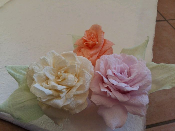 Cosa dite? sembrano rose? - 2