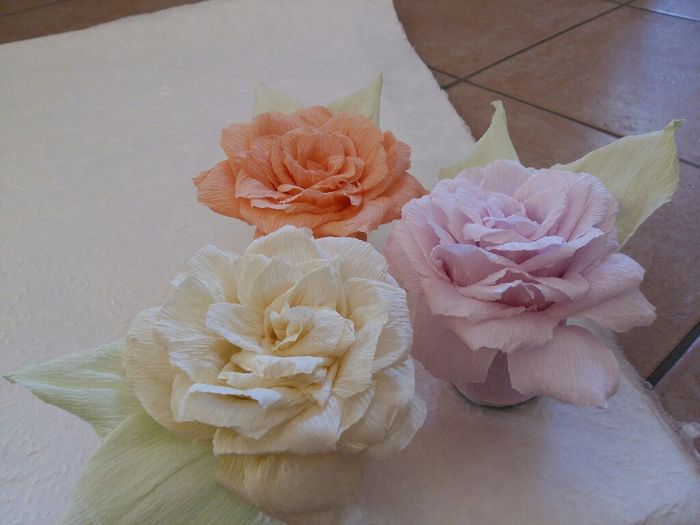 Cosa dite? sembrano rose? - 1
