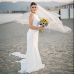 annalisa alati