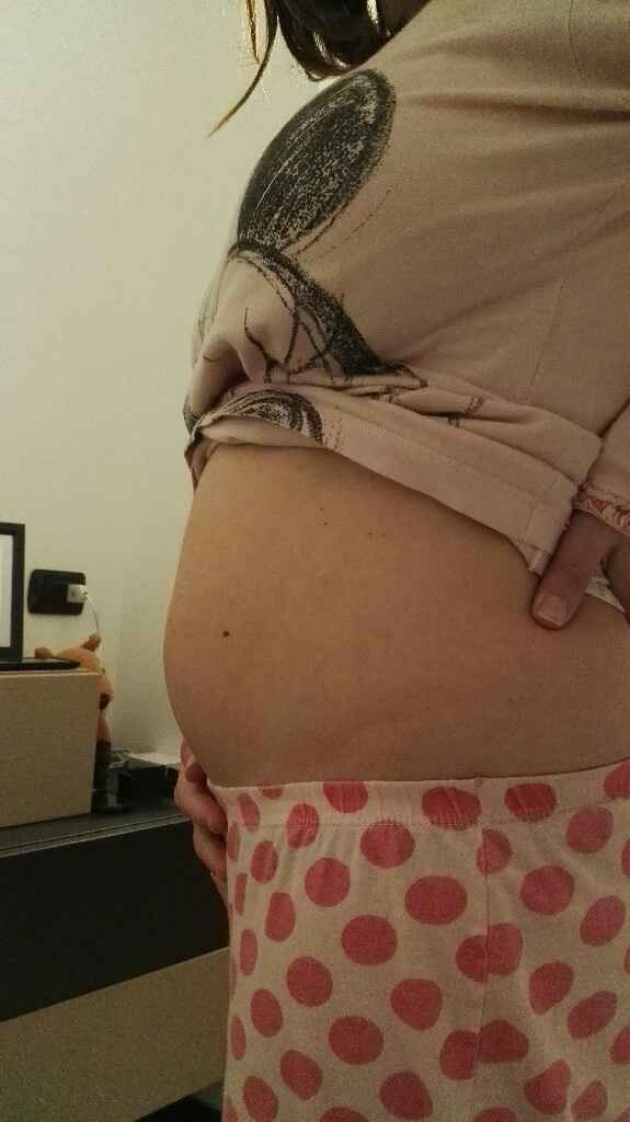 Pancine/pancione entrate :) - 1