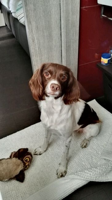 Amici pelosi *-* - 1