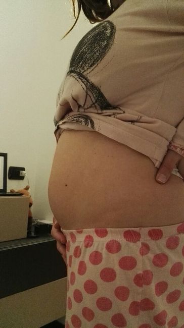 Pancine/pancione entrate <img class=