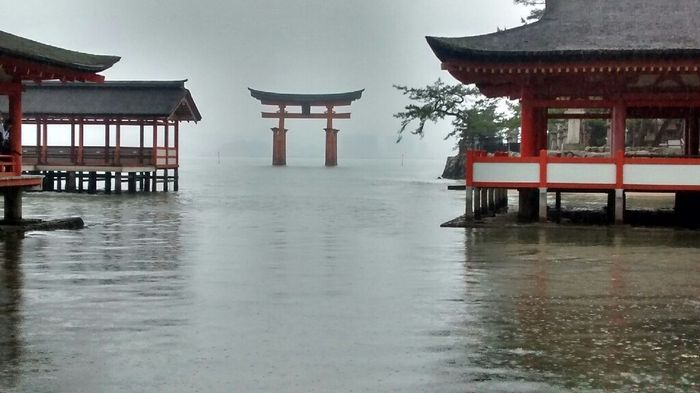 Giappone.. opinioni - 2