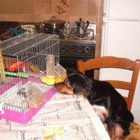 KETTY E CICCIO!