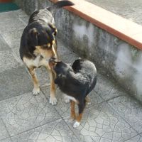 ketty e nerina