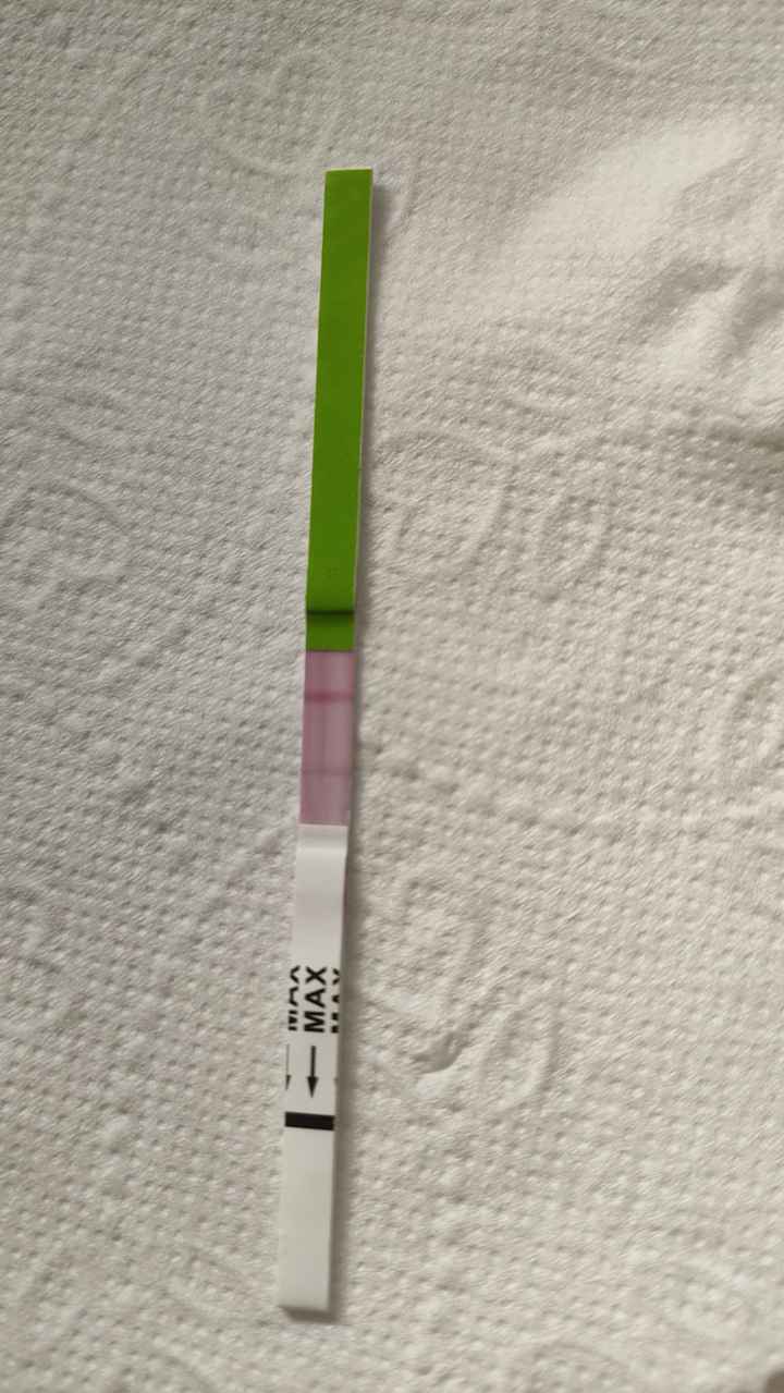 Test di ovulazione - 1