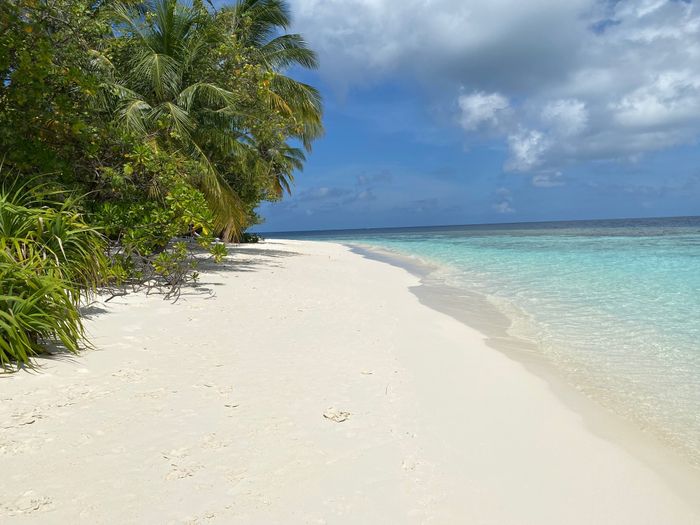 Honeymoon in paradise 🇲🇻 3