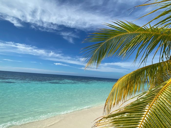 Honeymoon in paradise 🇲🇻 4