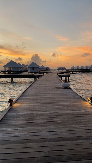 Honeymoon in paradise 🇲🇻 5