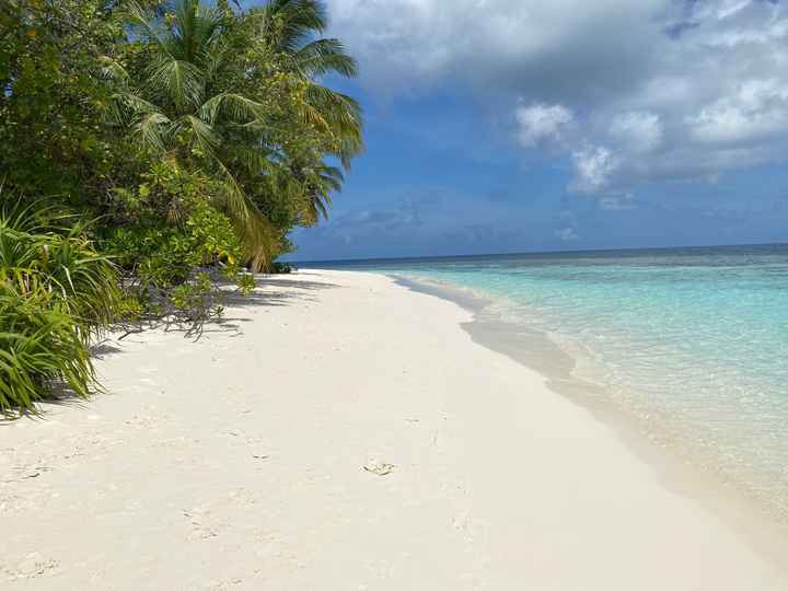 Honeymoon in paradise 🇲🇻 - 3