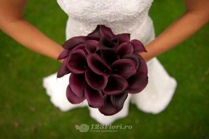 Com'è il vostro bouquet? - 1