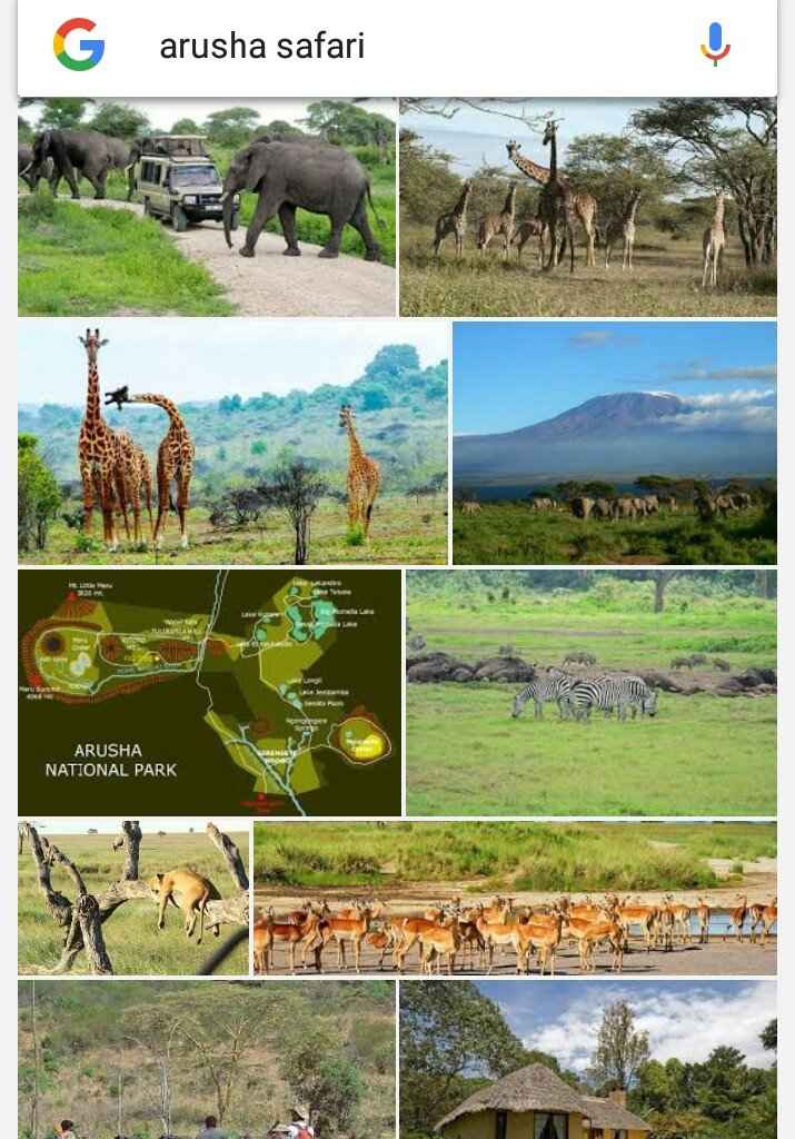 E viaggio sia. 😍 - 1