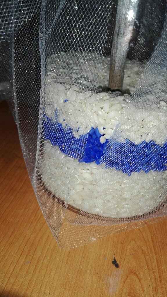 Centro tavola, bomboniere,sposini per la torta,  ecc - 2