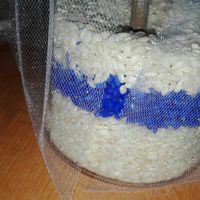 Centro tavola, bomboniere,sposini per la torta,  ecc - 2
