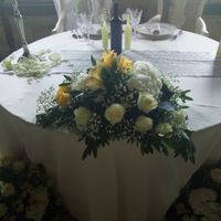 i fiori di Arianna - 1