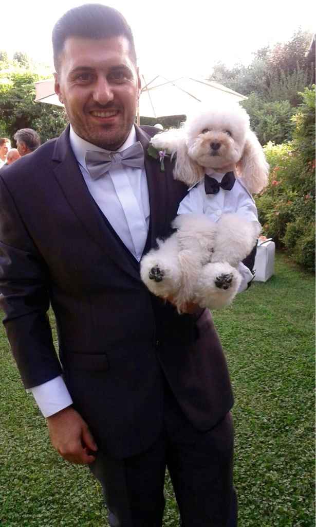 Giorno del matrimonio e cane - 1