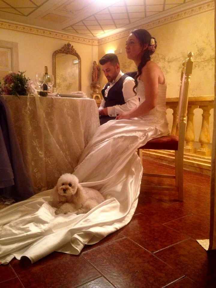 Giorno del matrimonio e cane - 2