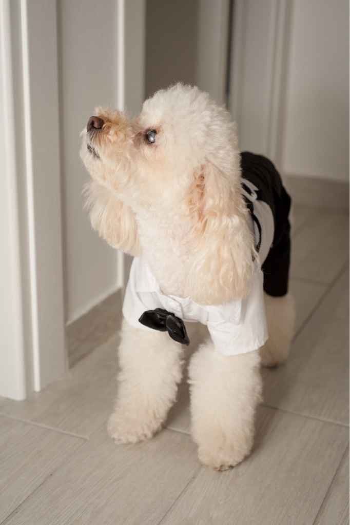 Felicemente sposati! - 2