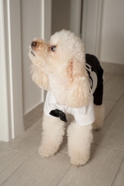 Felicemente sposati! - 2