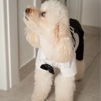 Felicemente sposati! - 2