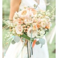 L'isola delle spose michela - 2