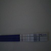 Chi non le aspetta per novembre 2023 🌰🍂🤎 - 1