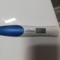 Chi non le aspetta per novembre 2023 🌰🍂🤎 - 1